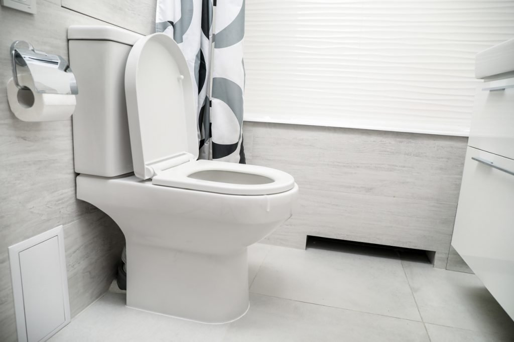 Fix a Toilet That Won’t Flush Plumbing Maintenance